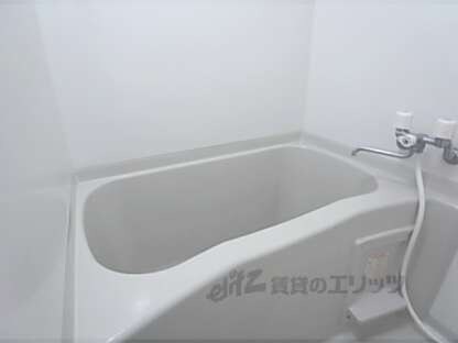 カンタル中書島の物件内観写真