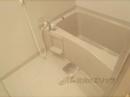 ハイツフローラの物件内観写真