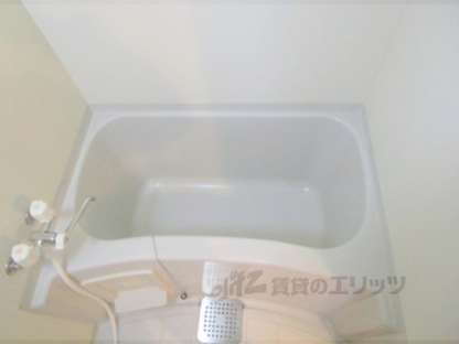 メゾン　ド　プチシャンの物件内観写真