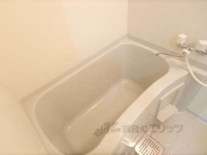 メゾン　ド　プチシャンの物件内観写真