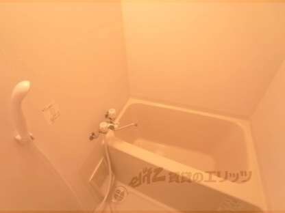 ｎｅｘｕｓ伊香の物件内観写真