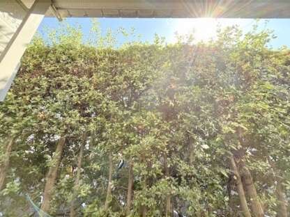 ピラーズ御所西の物件内観写真