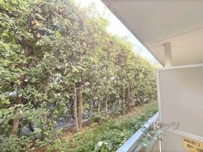 ピラーズ御所西の物件内観写真