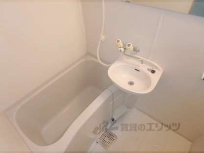 メイプル渡辺Ⅱの物件内観写真