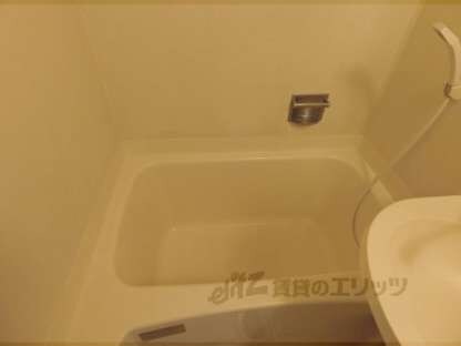 メゾン寺ノ内の物件内観写真