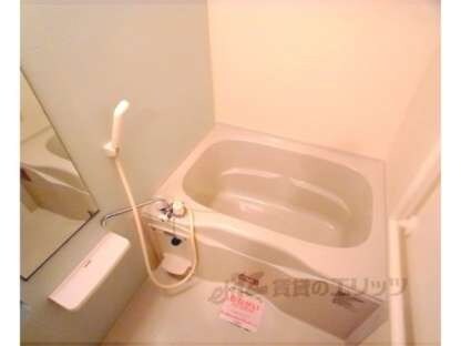 クリザンテーム山本Ⅱの物件内観写真