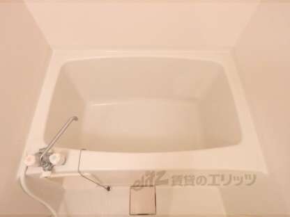 ドムスタレイアの物件内観写真