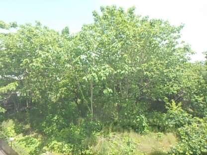 ホワイトハイムＫＡＧＡＭＩＩＳＨＩの物件内観写真