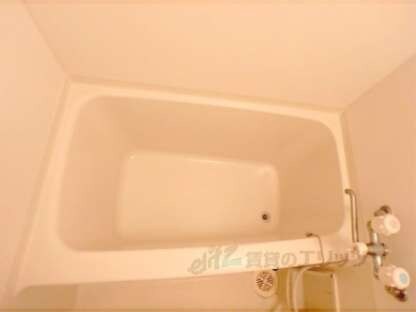 ホワイトハイムＫＡＧＡＭＩＩＳＨＩの物件内観写真