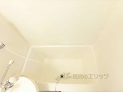 衣笠ホワイトハイムの物件内観写真