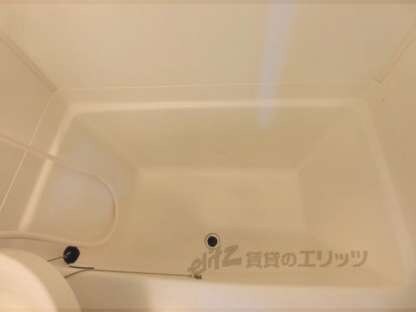 衣笠ホワイトハイムの物件内観写真