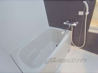 ルミナス都の物件内観写真