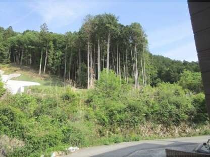 STRAIGHT ONEの物件内観写真