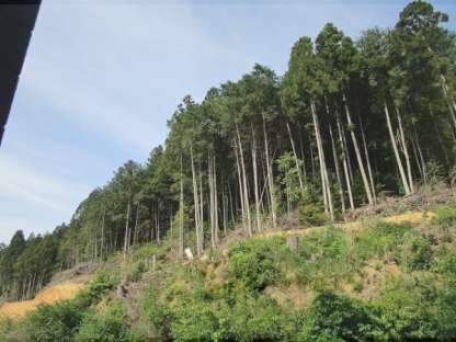 STRAIGHT ONEの物件内観写真