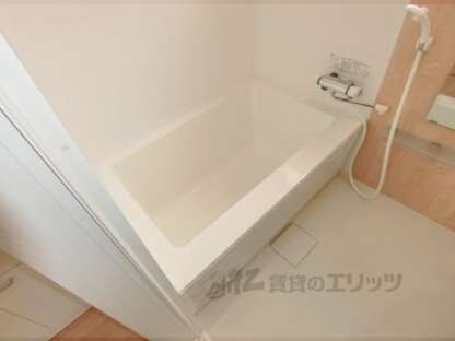 鴨戸ハイツの物件内観写真