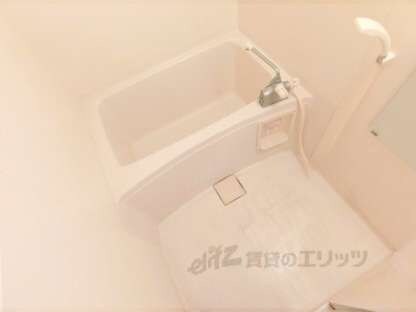 エクセル田中　Ｗ棟の物件内観写真