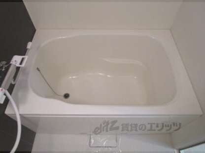 モダンアパートメント枚方岡山手の物件内観写真