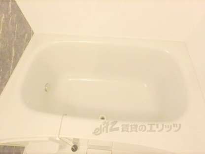 グランデ・カーサ・ケイⅡの物件内観写真