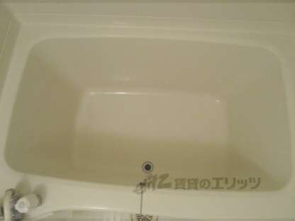 カーペンターハウスⅥの物件内観写真