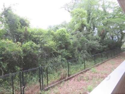 フェアリーシャンテの物件内観写真