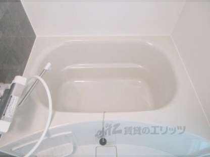 シエルグランデ町楠葉の物件内観写真