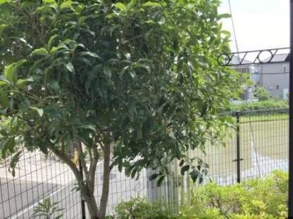 レオパレス星田Ⅱの物件内観写真