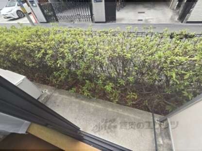 Ｒｉｔｚ香里園の物件内観写真