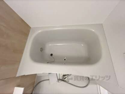 ウィスタリアⅡの物件内観写真