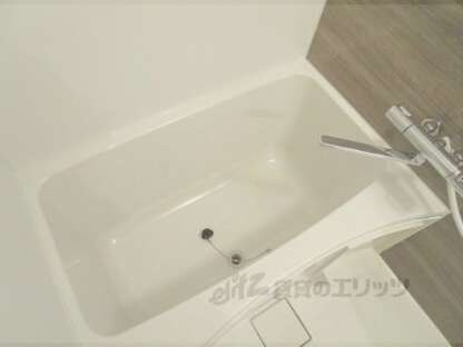 ルミナスガーデン栄町の物件内観写真