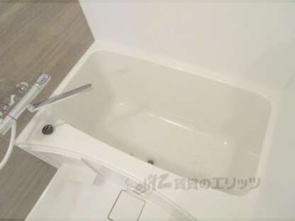 ルミナスガーデン栄町の物件内観写真