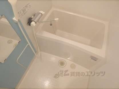 ミランダ浪華Ⅴの物件内観写真