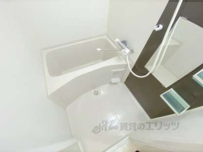 Ｄｏｌｃｅ　Ａｍａｒｏの物件内観写真