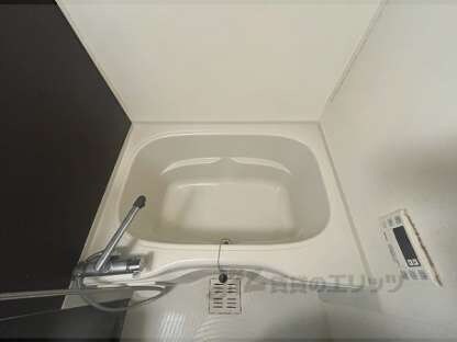 カーサミーオの物件内観写真