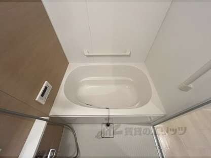 Pスマイルカーサ　バラ公園の物件内観写真