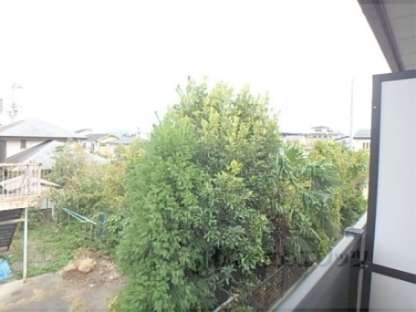 アムールＫＵＲＡＧＡＮＯの物件内観写真