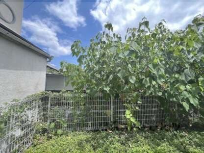 レオパレスMARIEの物件内観写真