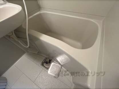 ロイヤルハイネスの物件内観写真