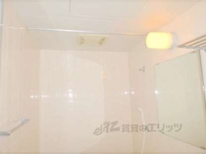 デイスターアベニューの物件内観写真