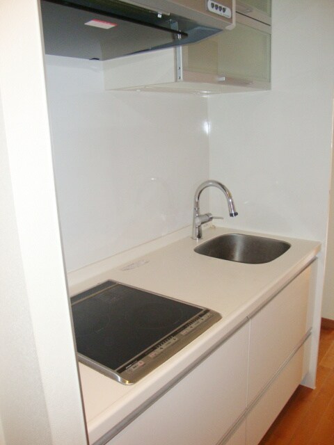 日神デュオステージ池上の物件内観写真