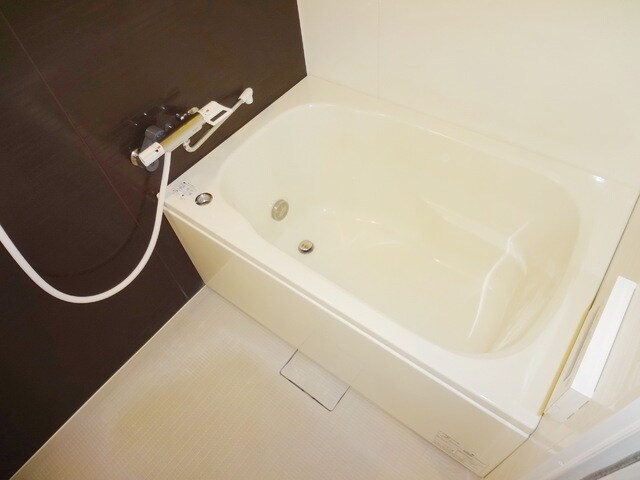 ウェルネスＬの物件内観写真