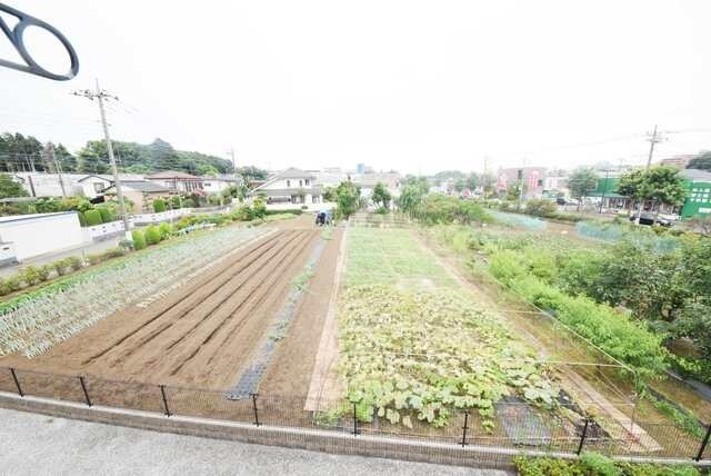 レオパレスブルーツリーの物件内観写真