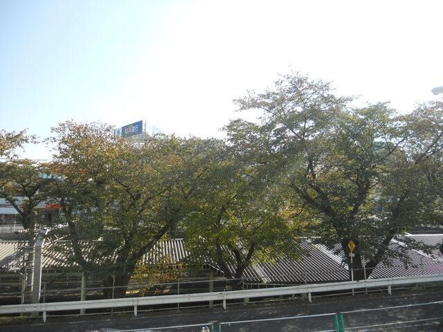 百合ヶ丘ステーションテラスの物件内観写真