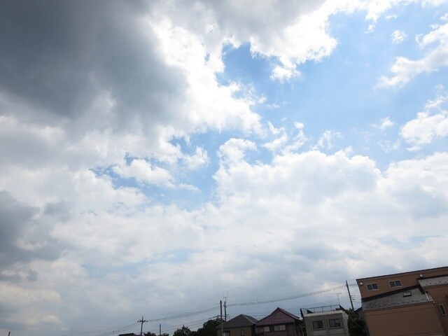 パイン・ヒルズ参番館の物件内観写真