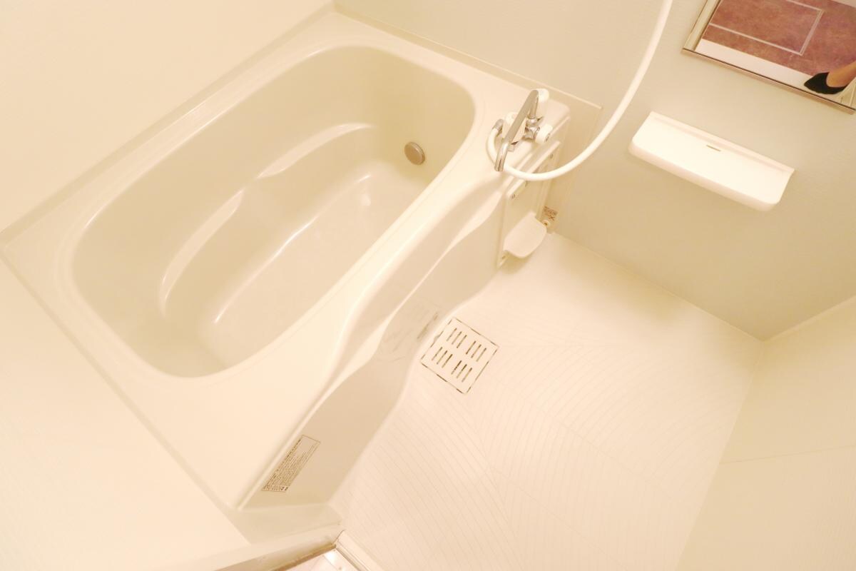 エレガンテ　カーサの物件内観写真