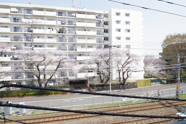 サザントゥリーIIの物件内観写真