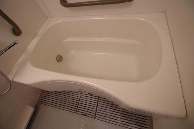 サザントゥリーIIの物件内観写真