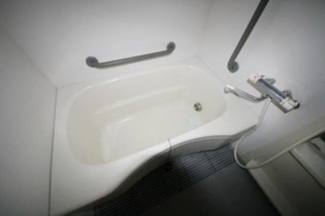 サザントゥリーIIの物件内観写真