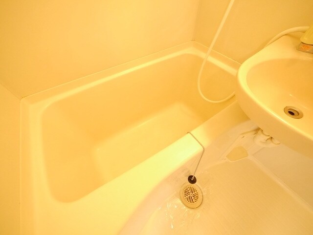 メイプルコートの物件内観写真