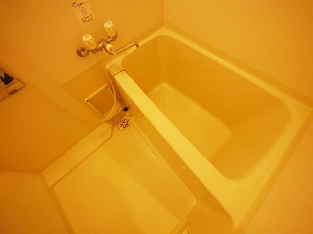 レオネクストセレンディップ久末の物件内観写真