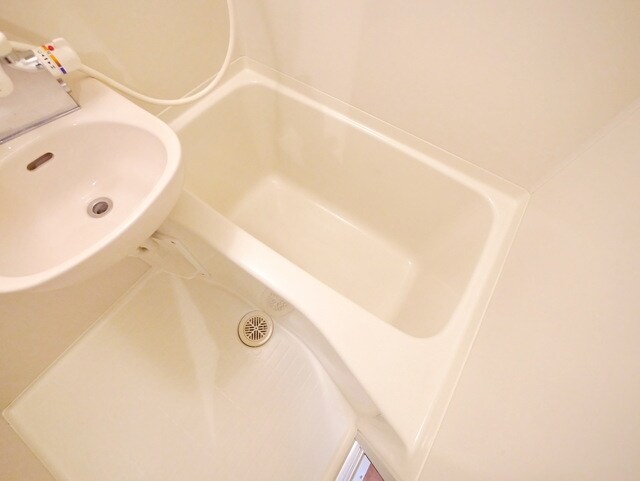 サフィール向ヶ丘の物件内観写真